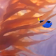 Illustration for article titled This Concept Art for iFinding Dory/i Is Simply Beautiful